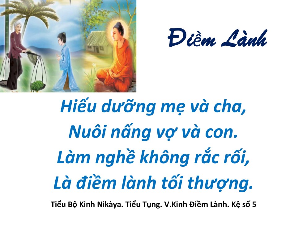hieu duong cha me_vu lan bao hieu9.jpg